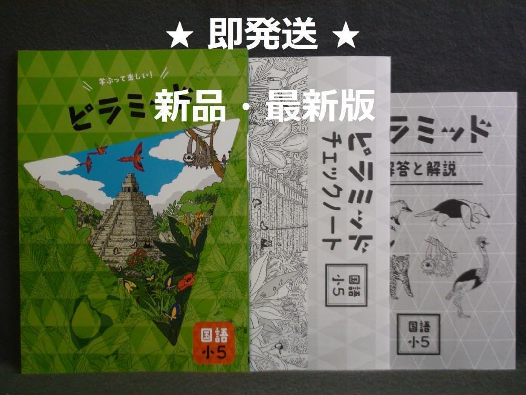 Amazon.co.jp: ピラミッド 国語 小5 解答確認テスト付 5年